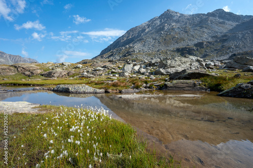 Fototapeta Naklejka Na Ścianę i Meble -  Etang d'altitude dans le paysage de montagne du massif de la Vanoise dans les Alpes en France en été et du vallon d'Ambin