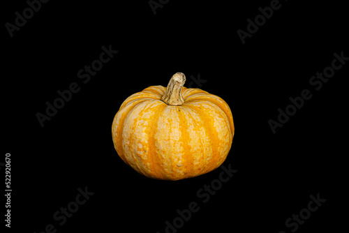 Isolated decorative small pumpkins of different varieties on a black background