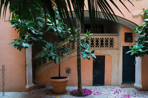 patio en el centro historico, Can Tacón, Mallorca, balearic islands, spain, europe © Tolo