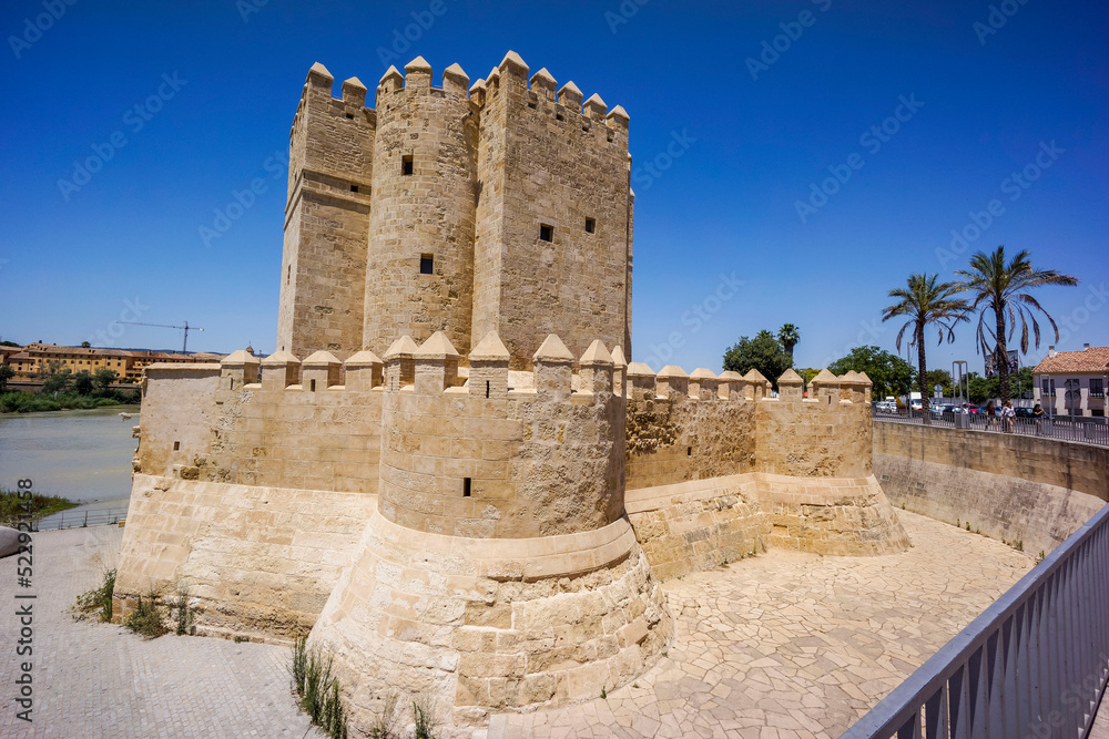 torre de Calahorra, Cordoba, Andalucia, Spain