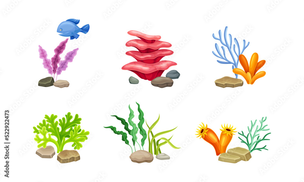 Sea Coral and Algae Growing on the Ocean Bottom Vector Composition Set