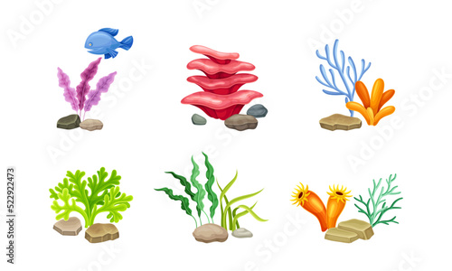 Sea Coral and Algae Growing on the Ocean Bottom Vector Composition Set