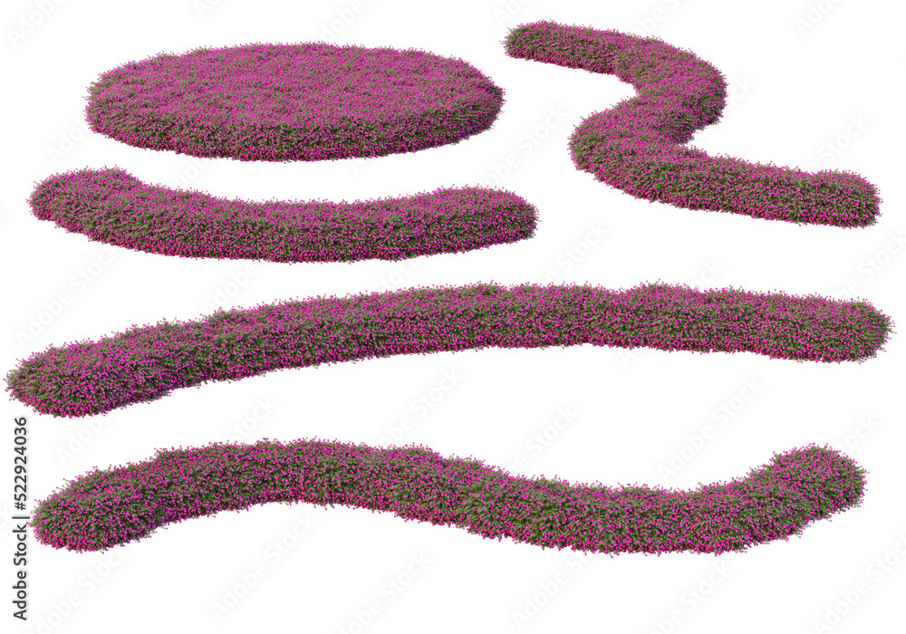 Shrubs and flowers on a transparent background. Shrubs and flowers on a transparent background.