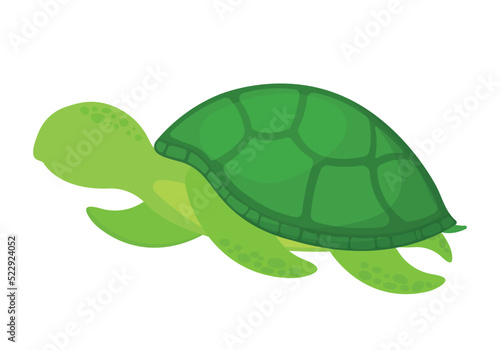 Hand Drawn Faceless Turtle Icon Clipart Cartoon Vector for Sea Animal Collection Animated Image
