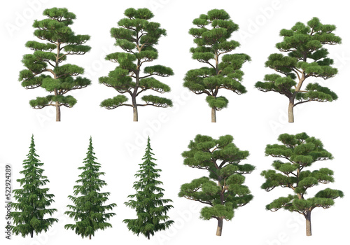 Many kinds of pine on a transparent background.
