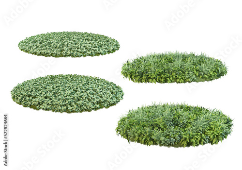 Plants and shrubs on a transparent background