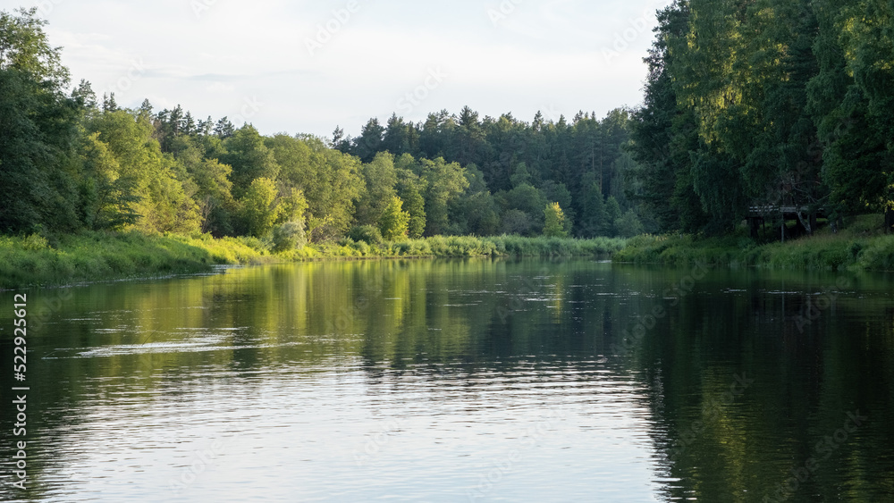 calm river with reflections of trees in the water in bright green foliage in summer in the forest near Strenciem, Latvia. Gauja river in the evening sun.