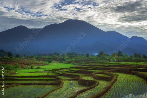 Beautiful morning view in Indonesia. Panoramic view of rice fields and mountains on a cloudy morning
