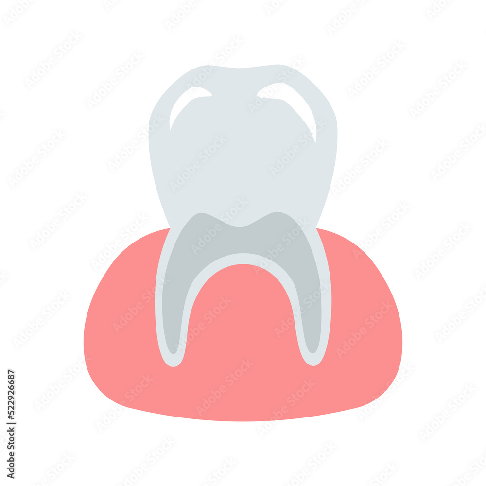 Healthy clean strong tooth in pink gum. Vector dental illustration for design and decoration. Healthy clean strong tooth in pink gum. Vector dental illustration for design and decoration.