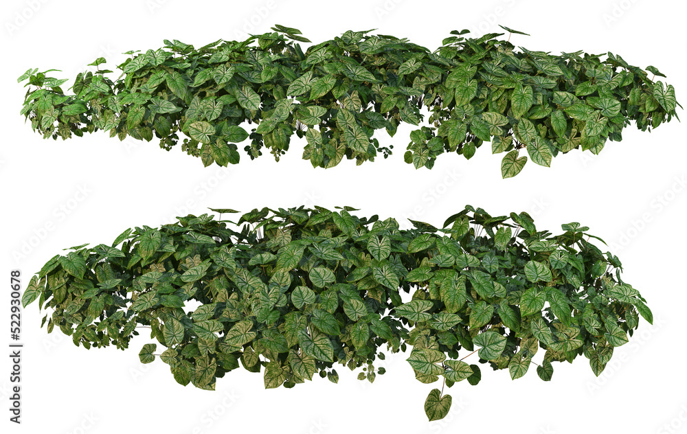 Fototapeta premium Shrubs and plants on a transparent background