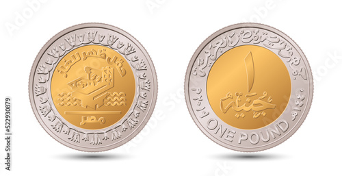 Reverse and obverse of Egyptian one pound coin in vector illustration.