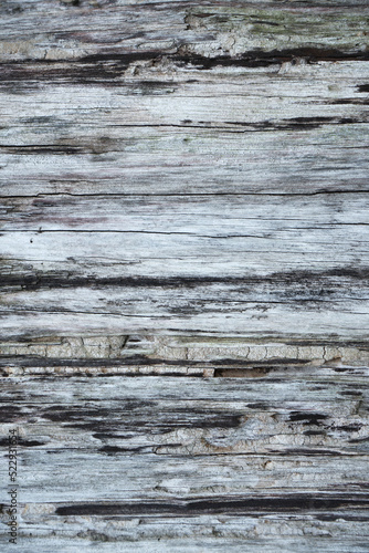 Wood texture . Natural barn wood floor. wall texture background pattern. Wood  boards are very old with a beautiful rustic look