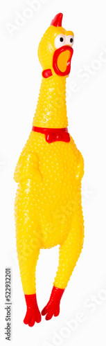 toy rubber shriek yellow chicken isolated on white background