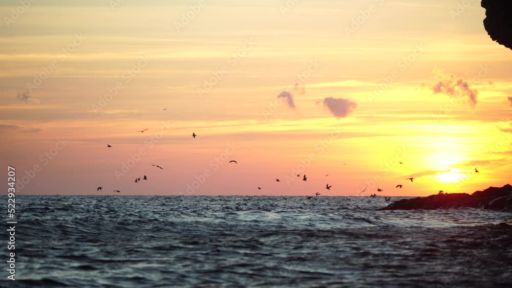 A flock of seagulls fly and fish in the sea. Warm sunset sky over the ocean, sun glare. Silhouettes of seagulls flying in slow motion away from the camera with the sea in the background at sunset. A flock of seagulls fly and fish in the sea. Warm sunset sky over the ocean, sun glare. Silhouettes of seagulls flying in slow motion away from the camera with the sea in the background at sunset.
