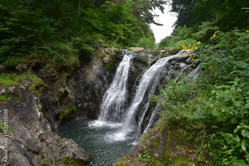 多留姫の滝