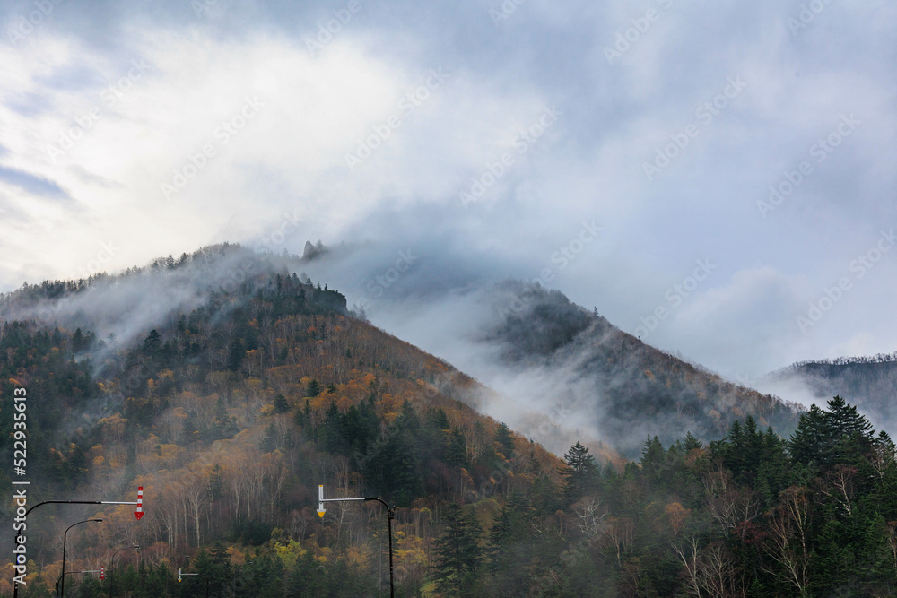 朝露と紅葉した層雲峡「秋の北海道」