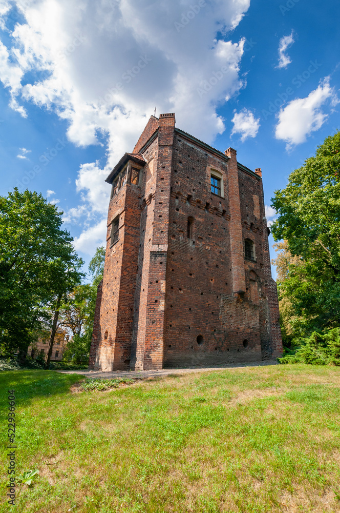 Fototapeta premium Baszta Halszki, Szamotuły, Greater Poland Voivodeship, Poland