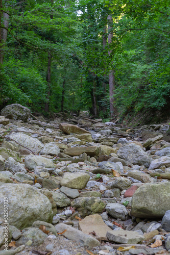 Many stones in the creeks bad in summer, forest on the rivers banks