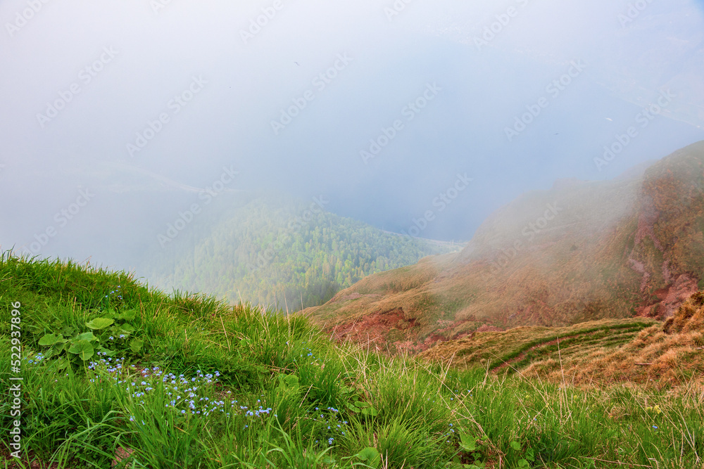 Morning fog on top of Rigi mountain, morning atmosphere in clouds. In the foreground, two slopes are in focus: covered with green grass and orange stone. Background in wet fog Morning fog on top of Rigi mountain, morning atmosphere in clouds. In the foreground, two slopes are in focus: covered with green grass and orange stone. Background in wet fog