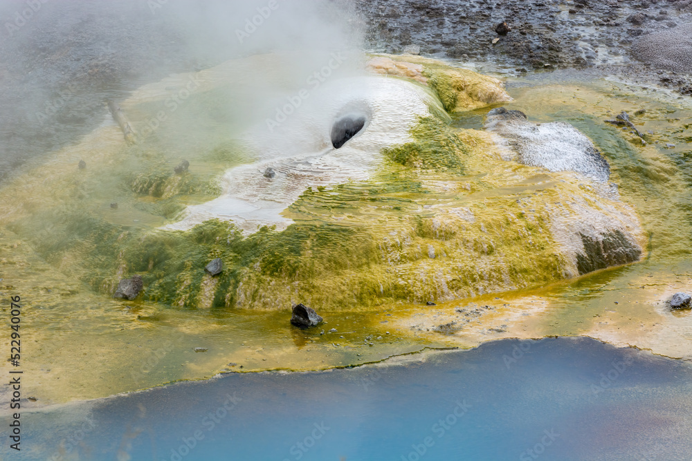 Norris Geyser Basin in Yellowstone National Park Norris Geyser Basin in Yellowstone National Park