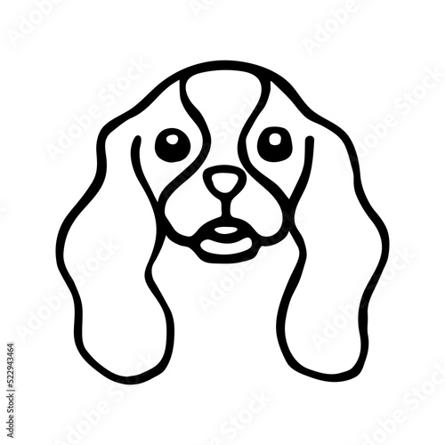 Doodle cavalier king charles spaniel dog head. Hand drawn vector illustration isolated on white background