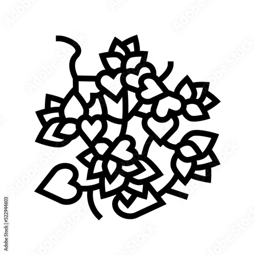 bougainvillea liana line icon vector. bougainvillea liana sign. isolated contour symbol black illustration photo