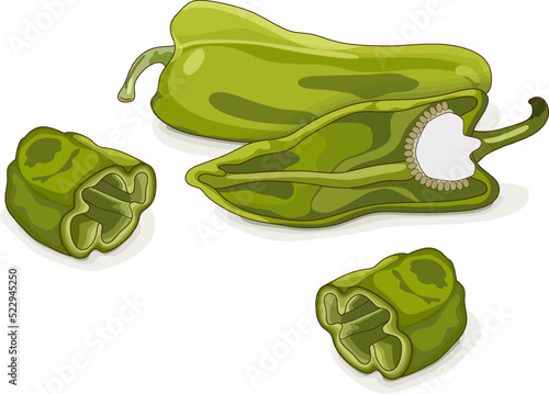 Whole, half, and quarter of Cubanelle pepper. Capsicum annuum cubanelle, cuban pepper, Italian Frying Pepper. Fresh organic vegetables. Cartoon style. Vector illustration isolated on white background.