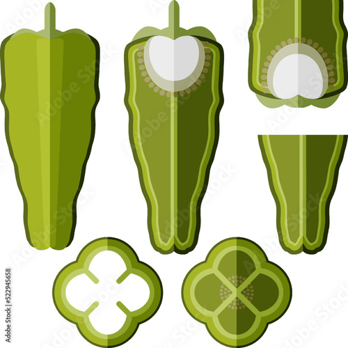 Set of whole, half, sliced and wedges of Cubanelle peppers. Capsicum annuum cubanelle, cuban pepper, Italian Frying Pepper. Vegetables. Flat style. Vector illustration isolated on white background.