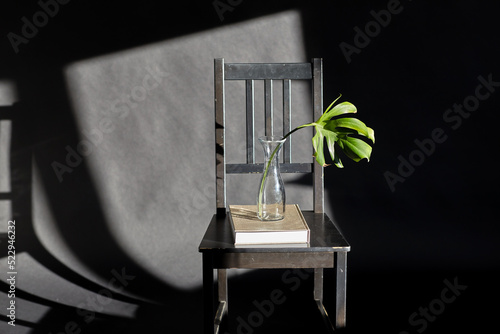 interior and home decor concept - monstera leaf in glass vase and book on vintage chair on black background