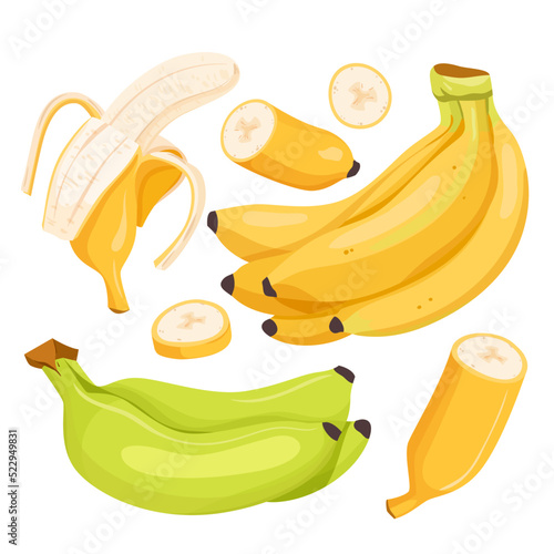 Cartoon isolated whole, cut in half or slices of sweet banana with peel and bunch of ripe yellow or green unripe fruit, natural food snack for vegetarian nutrition. Banana set vector illustration