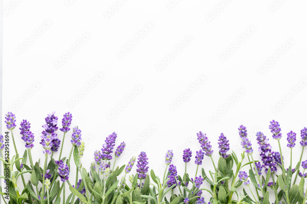 Flowers composition, frame made of lavender flowers on pastel background. - obrazy, fototapety, plakaty 