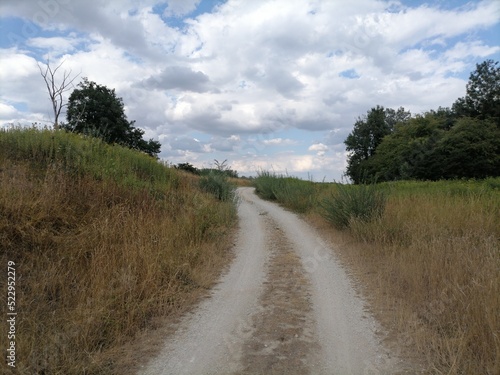 road in the field