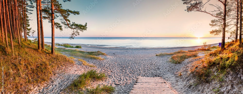 Panoramic view. Sandy beach and forest dune area of the Baltic Sea. Concept of happy, bliss and healthy summer vacation in ecologically clean Baltic region of Eastern Europe - obrazy, fototapety, plakaty 