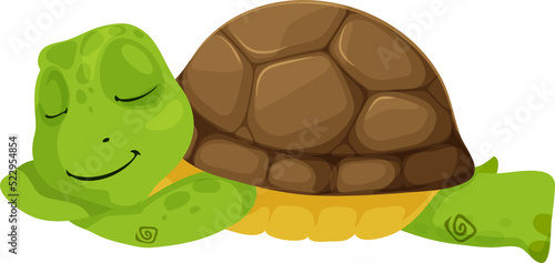 Sleeping turtle cartoon animal reptile tortoise