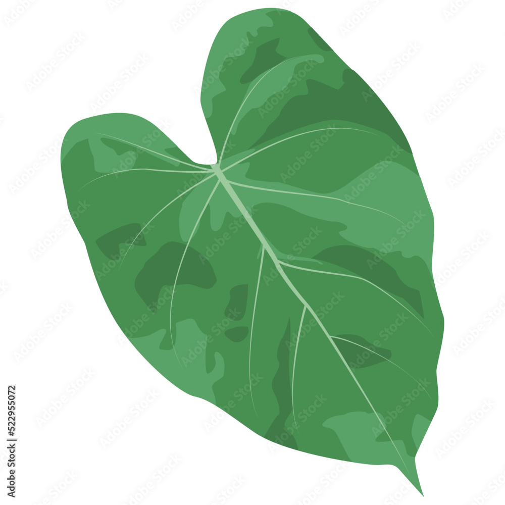 Tropical leaves in watercolor and hand drawn style. Tropical leaves in watercolor and hand drawn style.
