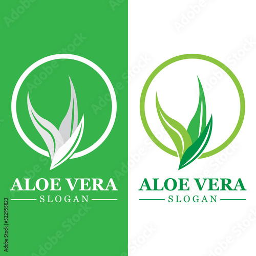Green plant aloe vera logo vector icon symbol many benefits
