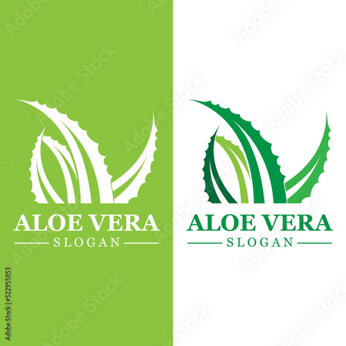 Green plant aloe vera logo vector icon symbol many benefits