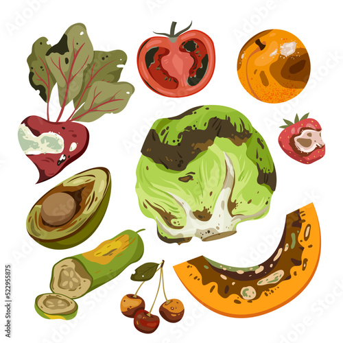 Cartoon isolated spoiled and damaged fruit and vegetables with rot, danger mold and poisons, moldy expired pieces, slices and whole fruit collection. Rotten food product set vector illustration photo