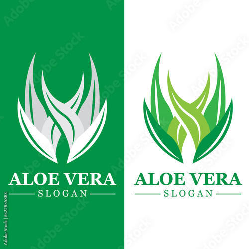 Green plant aloe vera logo vector icon symbol many benefits
