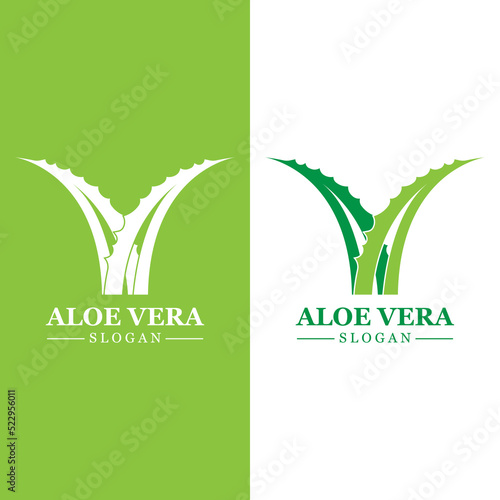 Green plant aloe vera logo vector icon symbol many benefits photo