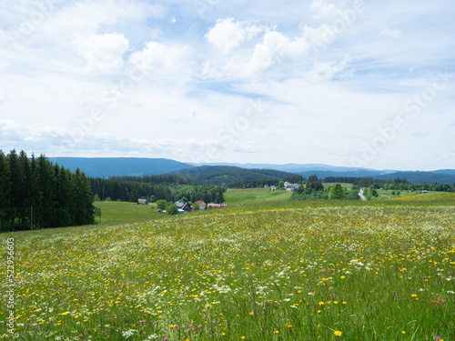 Black forest  Germany - May 28th 2022  Fantastic view over a wildflower meadow into the wide landscape