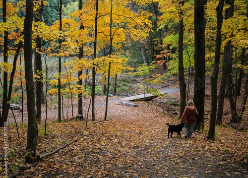 Woman walks dog in autumn woods