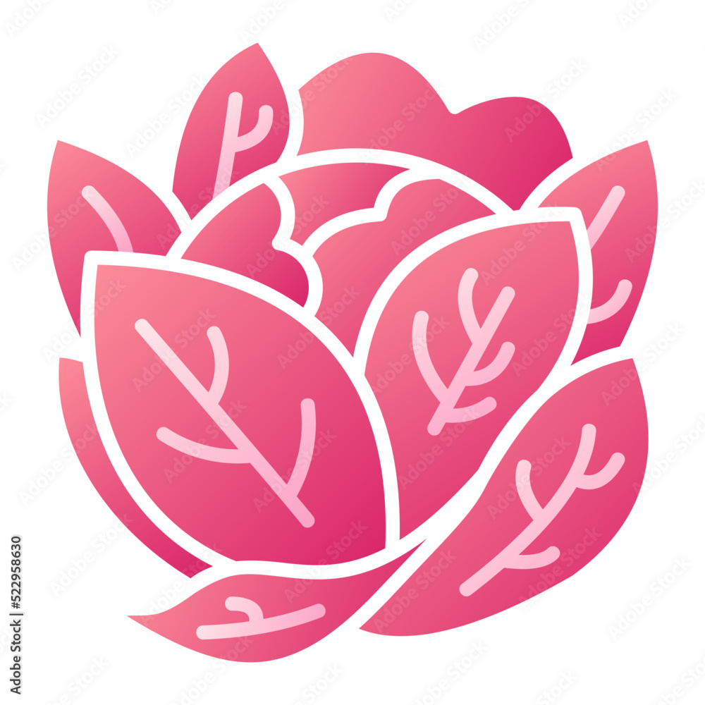 Cabbage Icon Cabbage Icon