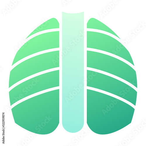 X-ray Icon