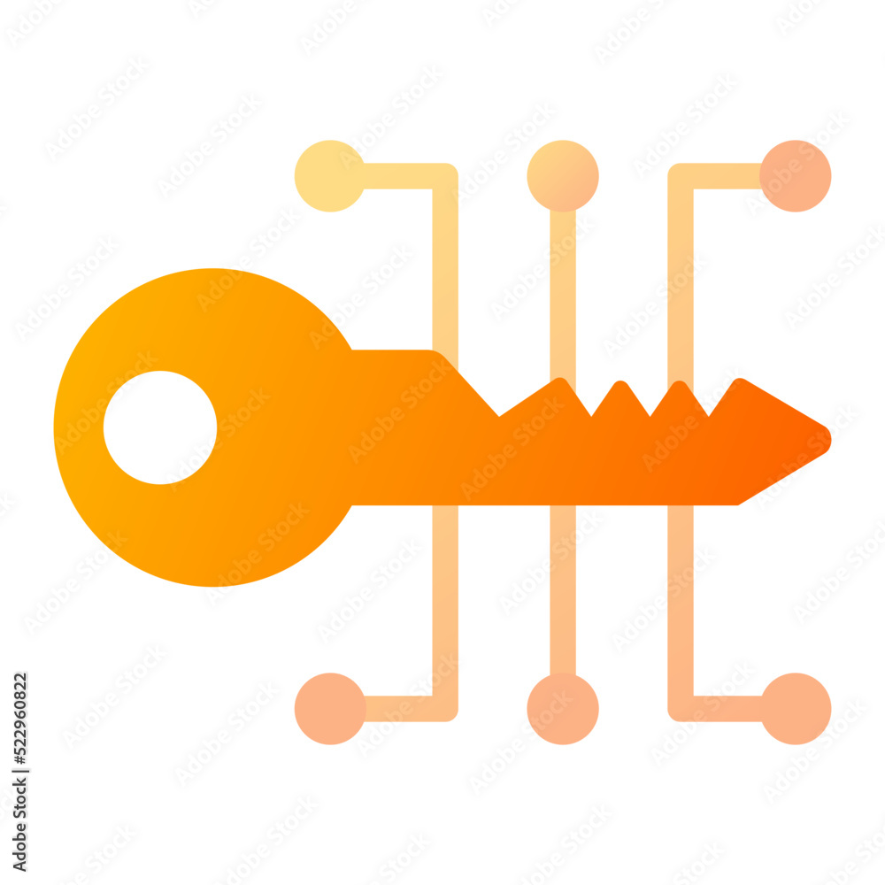 Key Decoder Icon Key Decoder Icon
