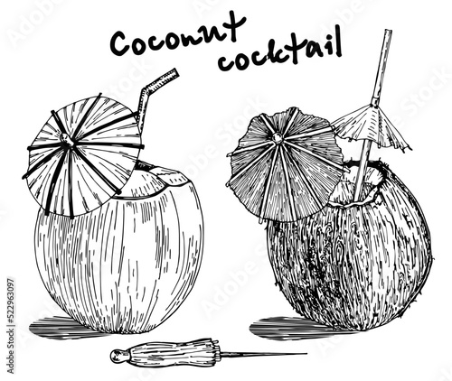 Cocktail of coconut sketch set. Illustration of a coconut with a cocktail inside with straws and an umbrella. Pina colada cocktail in coconut with umbrella. Doodle Vector style