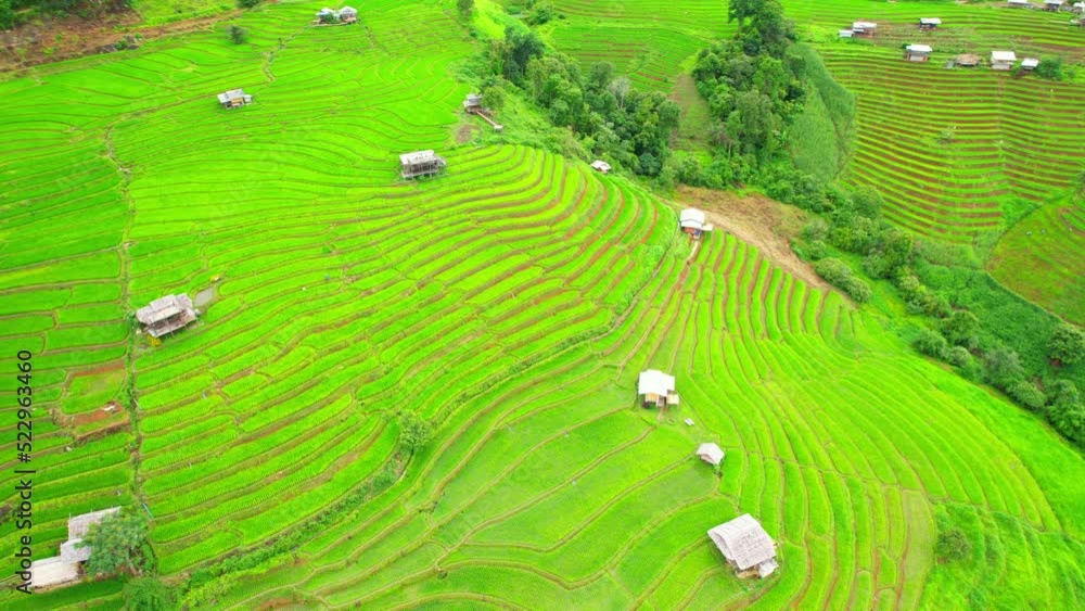 An aerial view over the beautiful rice terraces (Pa pong piang rice terraces, Chiang Mai Province, Northern Thailand). Natural the texture for background. 4k. drones
An aerial view over the beautiful rice terraces (Pa pong piang rice terraces, Chiang Mai Province, Northern Thailand). Natural the texture for background. 4k. drones