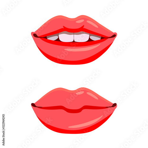 The human mouth is in the open and closed position. Vector isolated image on a white background