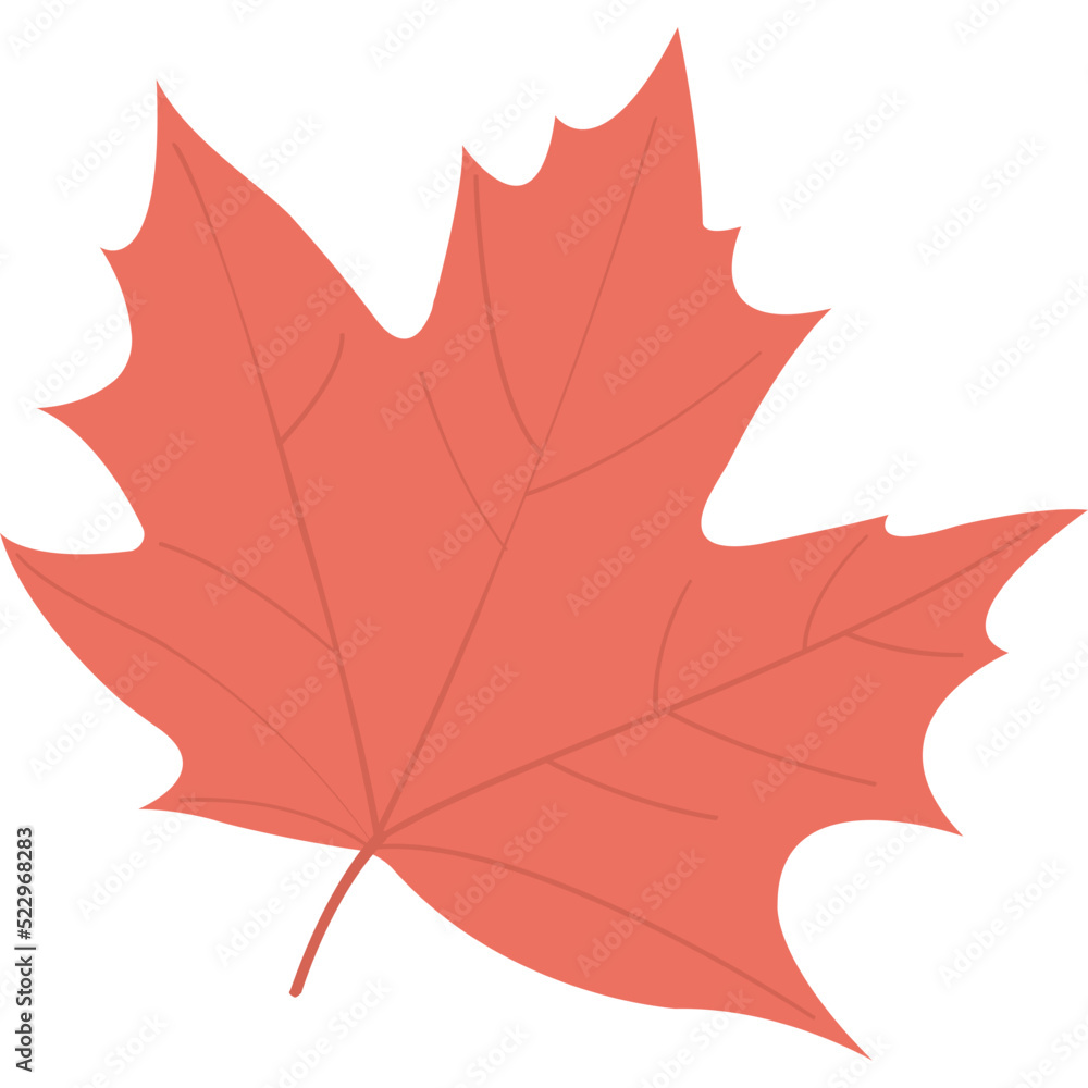 Fototapeta premium Maple Leaf Flat Icon