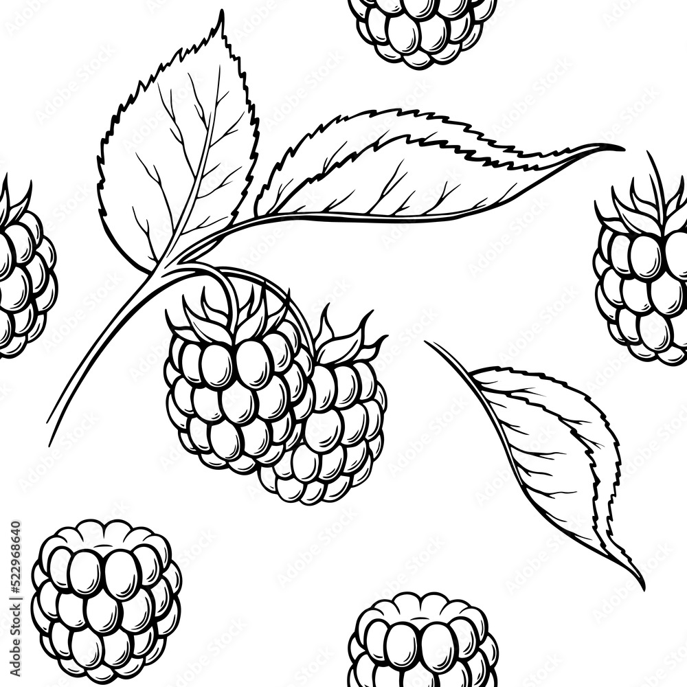 raspberry seamless raspberry seamless